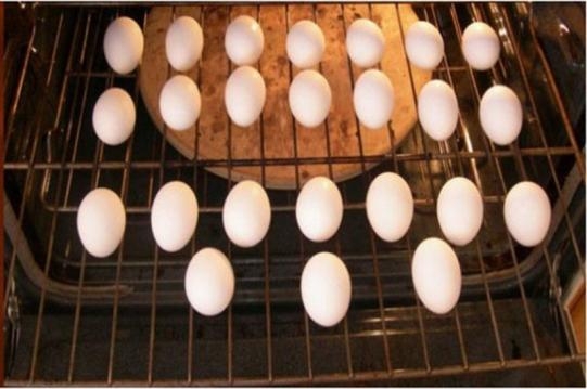 YUMURTAYI FIRINA KOYUNCA NE OLUR? galerisi resim 4