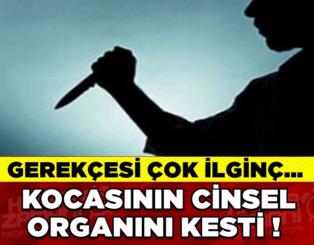 MUTFAK BIÇAĞI İLE KOCASININ CİNSEL ORGANINI KESTİ! galerisi resim 1