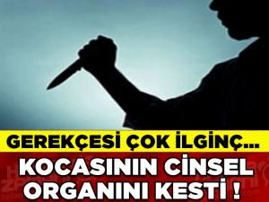 MUTFAK BIÇAĞI İLE KOCASININ CİNSEL ORGANINI KESTİ!