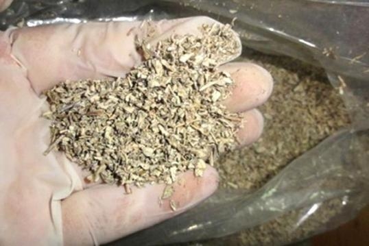 AİLECE MANGAL YAPIP YEDİLER, SONRA ANİDEN... galerisi resim 3