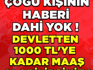 İŞTE DEVLETTEN 1000 TL'YE KADAR MAAŞ ALMANIN KOŞULLARI...
