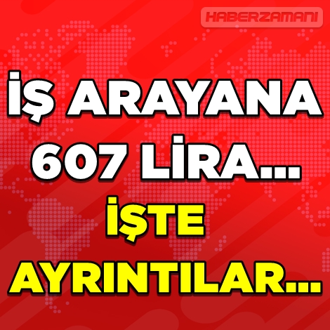 İŞ ARAYANA 607 LİRA... galerisi resim 1