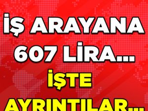 İŞ ARAYANA 607 LİRA...