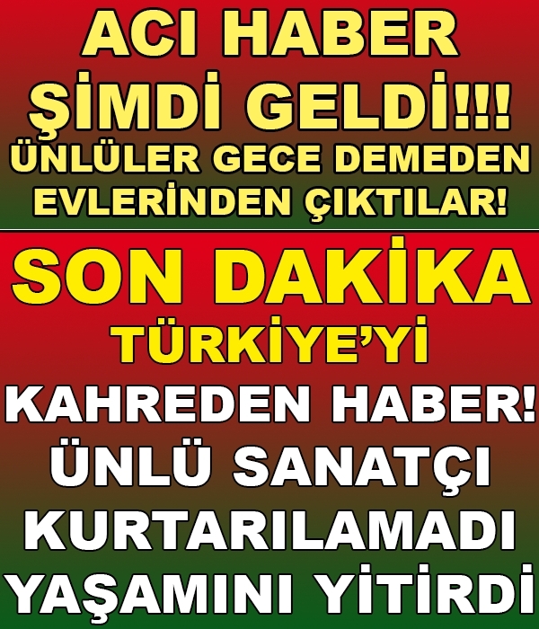 ÜNLÜ SANATÇI KURTARILAMADI YAŞAMINI YİTİRDİ...! galerisi resim 2