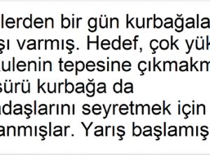 Kuleye Çıkan Kurbağa