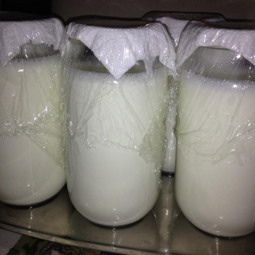 Kıvamını Tutturamadınız mı? Veya İstediğiniz Gibi mi Olmadı? İşte Size T galerisi resim 6