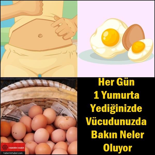 Her Gün 1 Yumurta Yediğinizde Vücudunuzda Bakın Neler Oluyor galerisi resim 1