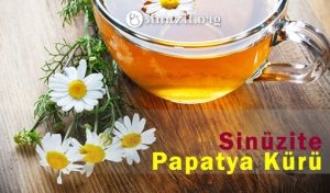 Sinüzite Bitkisel Çözüm: Papatya kürü! galerisi resim 2