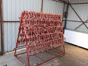 Mide bulandıran olay!