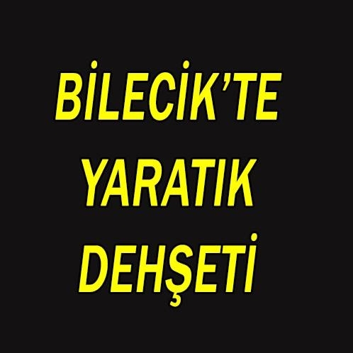 Bilecik'te dehşet! 'Bu yaratık 25 köpeğimizi yedi, kurt değil& galerisi resim 2