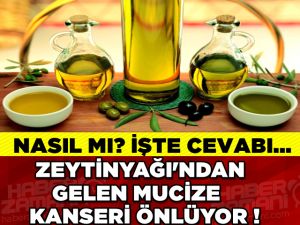 Zeytinyağının Kanser Hücrelerinin Gelişimini Engellediği Ortaya Çıktı