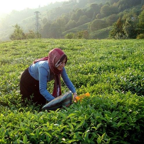 İlkel teleferikte akıma kapılan hamile kadın öldü galerisi resim 5