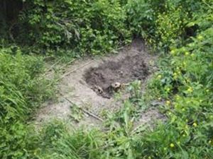 Öldürüp gömmüşler, iki gün sonra çıkarıp yeniden gömmüşler