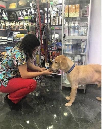 Işın Karaca’dan şok eden kanser açıklaması galerisi resim 2