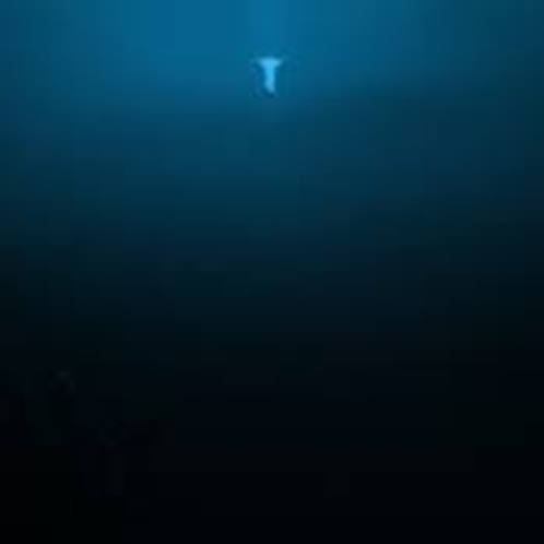 'Yüzsüz' balık bilim dünyasında heyecan yarattı galerisi resim 3