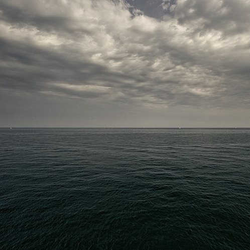 'Yüzsüz' balık bilim dünyasında heyecan yarattı galerisi resim 4