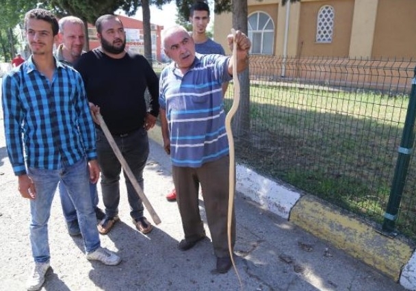 Vites kutusundan çıkana bakın! galerisi resim 1