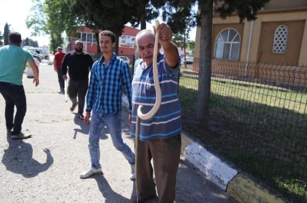 Vites kutusundan çıkana bakın! galerisi resim 4