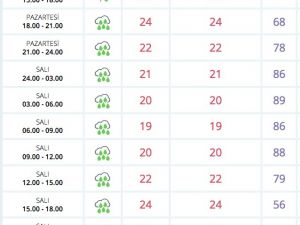 Saatlik hava durumu İstanbul ve 20 ili vuracak dikkat!