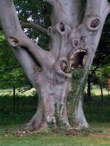 Bu Fotoğrafları Çeken Sanatçı Şu An Akıl Hastanesinde... Kan Donduran Ka galerisi resim 4