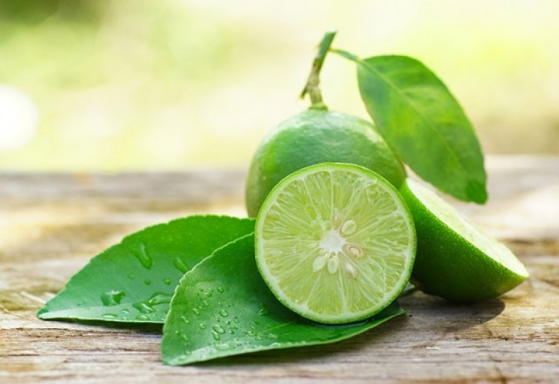 Diş Taşlarını Yok Eden Doğal Formül galerisi resim 3