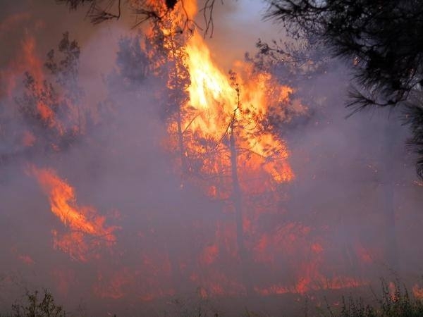 İzmir yangını Manisa'ya ulaştı! Son durum ne? galerisi resim 1