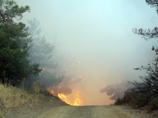 İzmir yangını Manisa'ya ulaştı! Son durum ne? galerisi resim 4