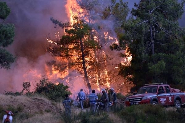 İzmir yangını Manisa'ya ulaştı! Son durum ne? galerisi resim 5