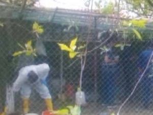 Eşiyle yasak ilişki yaşayan eniştesini öldürdü