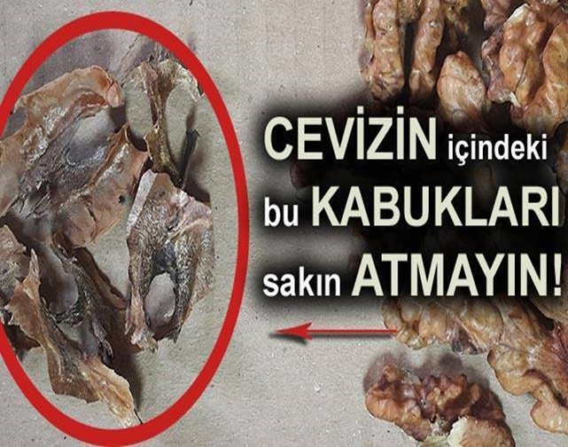 Cevizin içinden çıkan kabuğun faydası nedir? galerisi resim 1