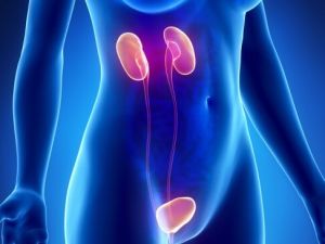 DİKKAT!!!Böbrek Yetmezliğinin 10 Belirtisi ve önlenmesi