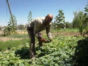 İhbar ettiği uyuşturucu bağımlısı oğluna verilen cezayla şok oldu
