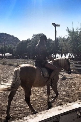 At binmeye böyle gitti galerisi resim 5