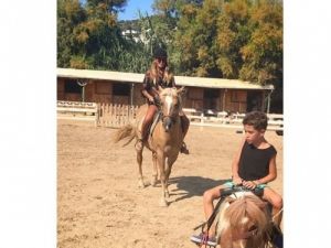 At binmeye böyle gitti