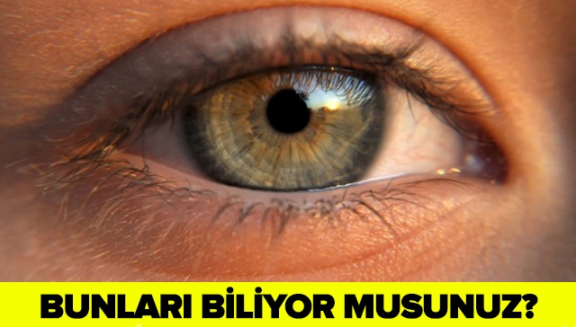 İŞTE SİZİ DİĞER İNSANLARDAN AYIRAN 3 ÖZELLİĞİNİZ... galerisi resim 1