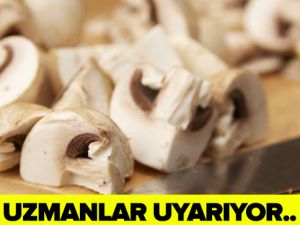 ZEHİRLİ MANTAR NASIL ANLAŞILIR?