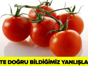 BUZDOLABINDA SAKLAMAMANIZ GEREKEN YİYECEKLER...