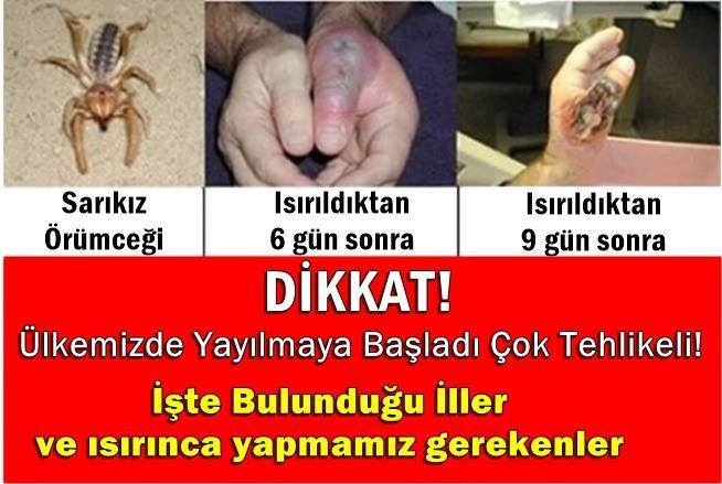 DİKKAT! HIZLA YAYILMAYA BAŞLADI! galerisi resim 1