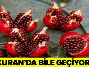 KURAN'DA BİLE GEÇEN NARIN MUCİZELERİ SAYMAKLA BİTMİYOR!