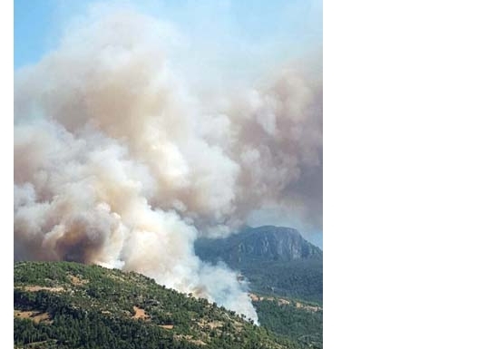 TATİL MERKEZİ İLİMİZDE BÜYÜK FACİA galerisi resim 2