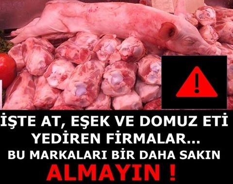 BAKANLIK AÇIKLADI... İŞTE AT, EŞEK VE DOMUZ ETİ YEDİREN FİRMALAR galerisi resim 1