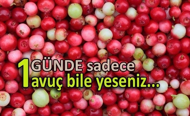GÜNDE SADECE 1 AVUÇ BİLE YEMENİN İNANILMAZ FAYDASI VAR galerisi resim 1