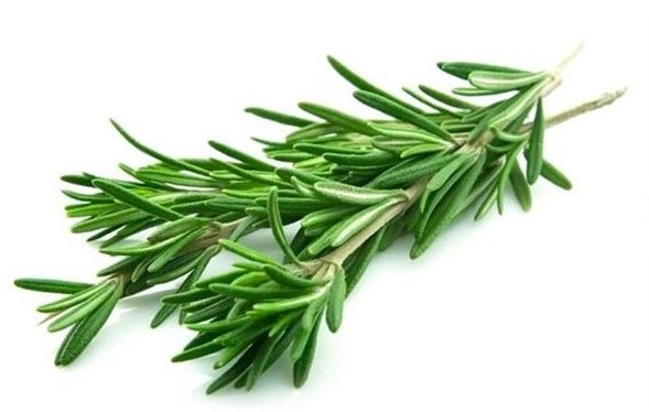 Karındaki şişkinliği ve fazla kiloları yok eder, göbek yağlarını eritir! galerisi resim 10