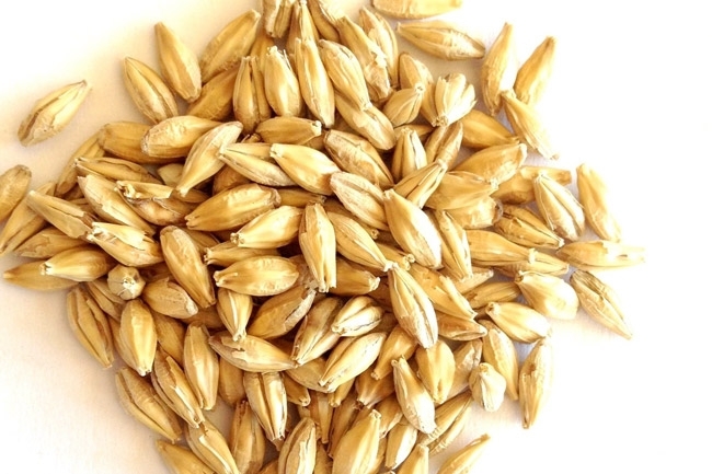 Arpa suyu diyeti nedir İrem Derici'yi hızlı zayıflatan şok diyet galerisi resim 8