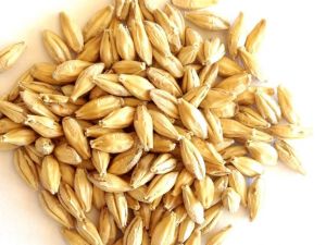 Arpa suyu diyeti nedir İrem Derici'yi hızlı zayıflatan şok diyet