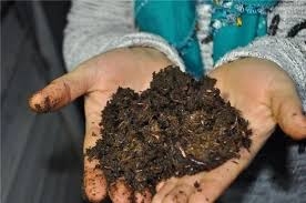 "Pis İşlerle Uğraşma" Diyenleri Dinlemedi Parasını 10 Ayda 10& galerisi resim 10