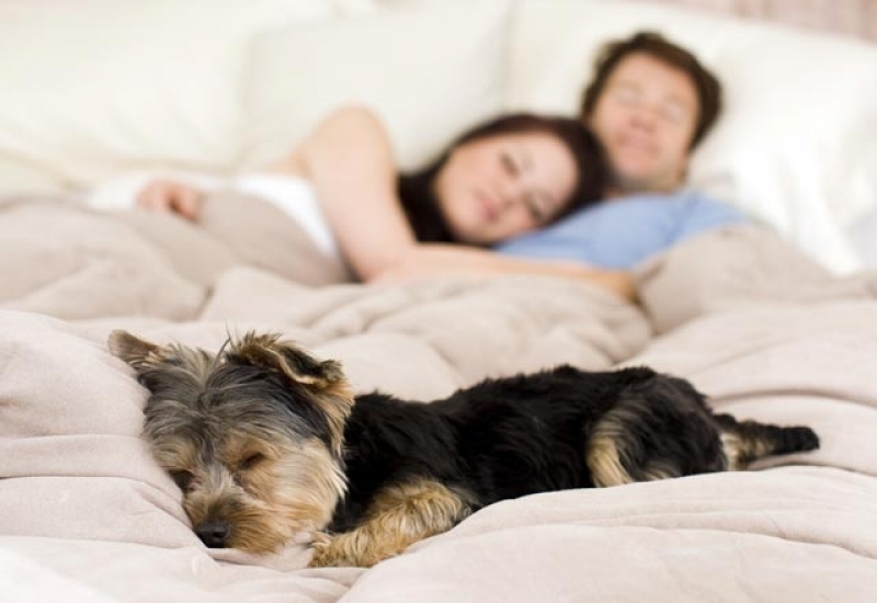 Erkeklerin Gizlice Yapmayı Sevdiği 10 Feminen Şey galerisi resim 14