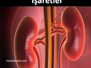 Böbreklerinizin Hasta Olduğunu Gösteren İşaretler