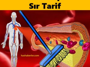 Damarlarınızı Tertemiz Yapacak Sır Tarif