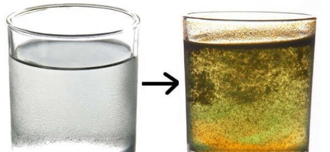 EVİNİZDE NEGATİF ENERJİ VARSA, KAVGA GÜRÜLTÜ BİTMİYORSA BU DENEYİ YAPIN galerisi resim 4